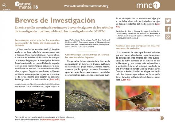 Portada del artículo "Breves de Investigación"