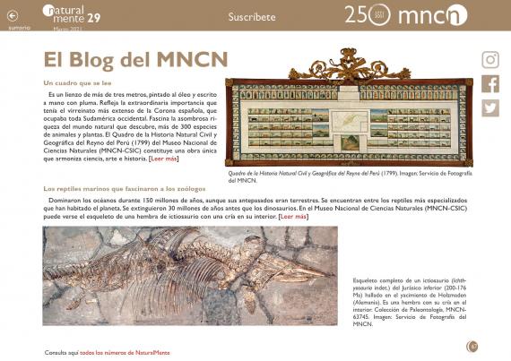 Imagen de la sección