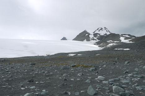 Área expuesta a la colonización biológica por retroceso del Glaciar Hurd (Isla Livingston, Antártida).