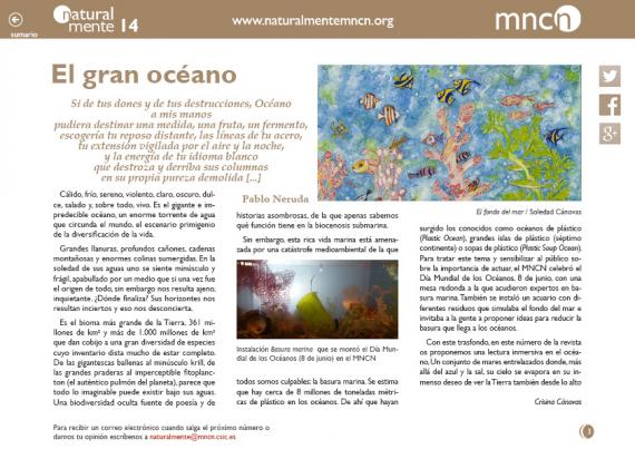 Introducción nm14