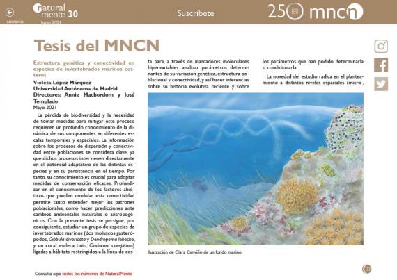 Tesis Doctorales nm30