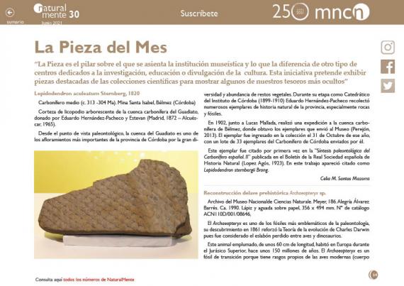 Pieza del Mes nm30