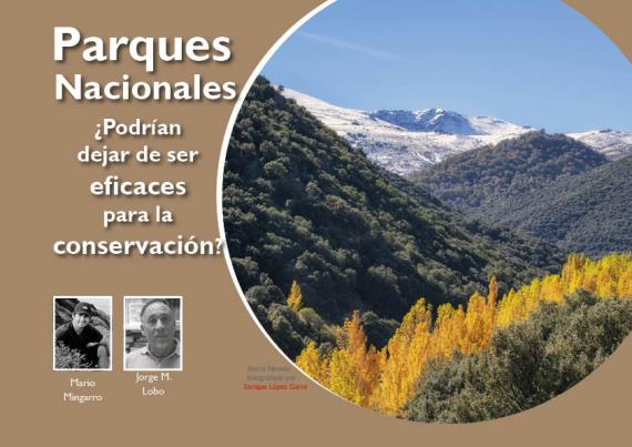 Portada del artículo