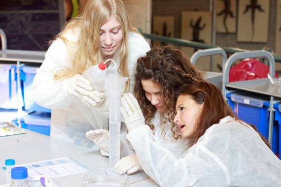Estudiantes de Secundaria realizando un taller en el MNCN