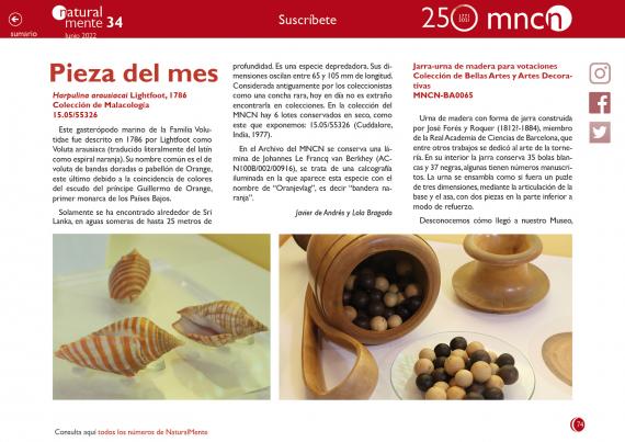 Pieza del mes nm34
