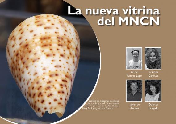 La nueva vitrina  del MNCN