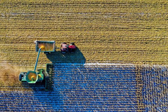 El objetivo de la PTI es proporcionar una base científica para mejorar la eficacia socioambiental de la Política Agraria Común (PAC) de la Unión Europea en España. / Pexels
