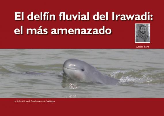 Imagen del artículo