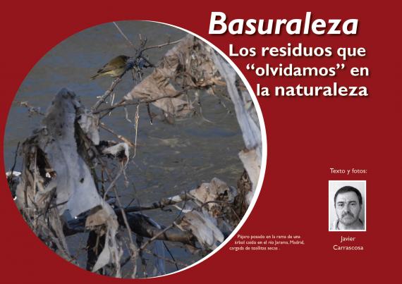 Imagen del artículo