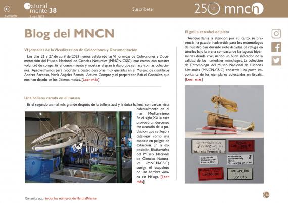 Imagen del artículo