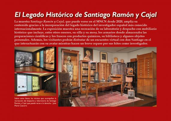 El legado cajal