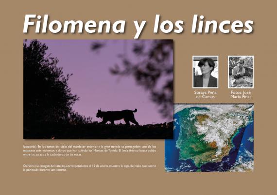 Filomena y los linces