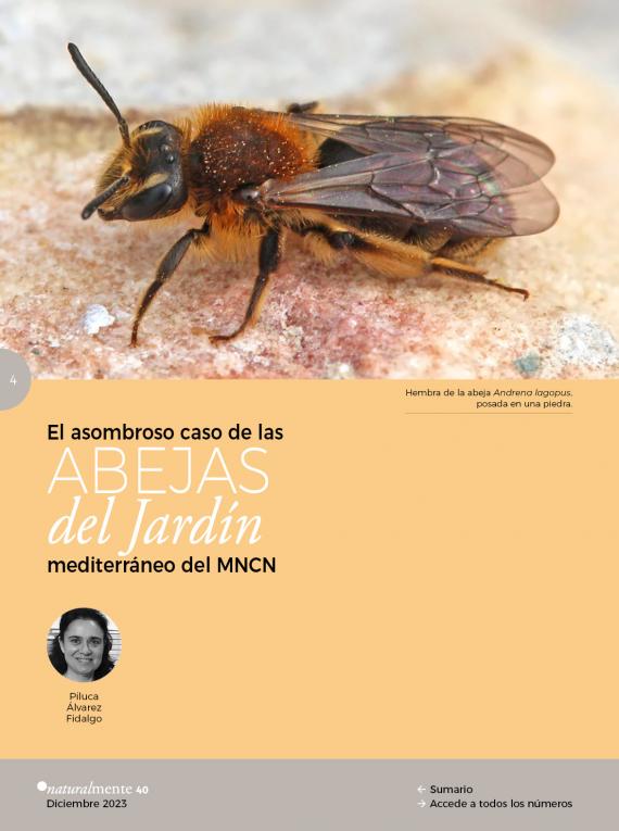 Portada del artículo