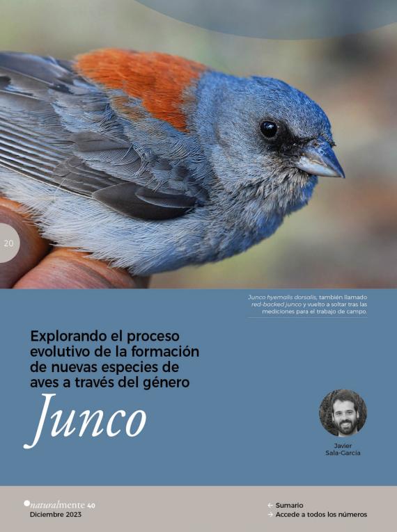 Portada del artículo