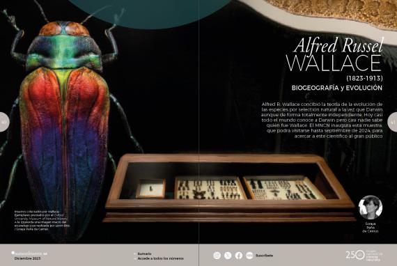 Portada del artículo