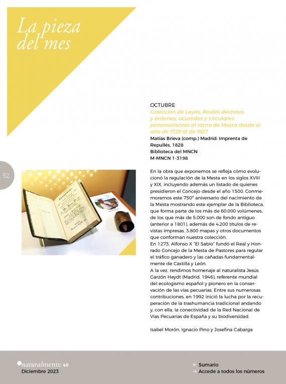 Pieza del mes NM40 