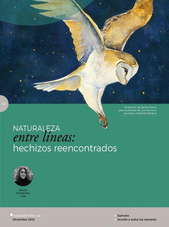 Hechizos reencontrados