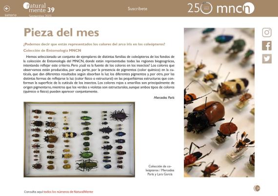 Pieza del mes nm39