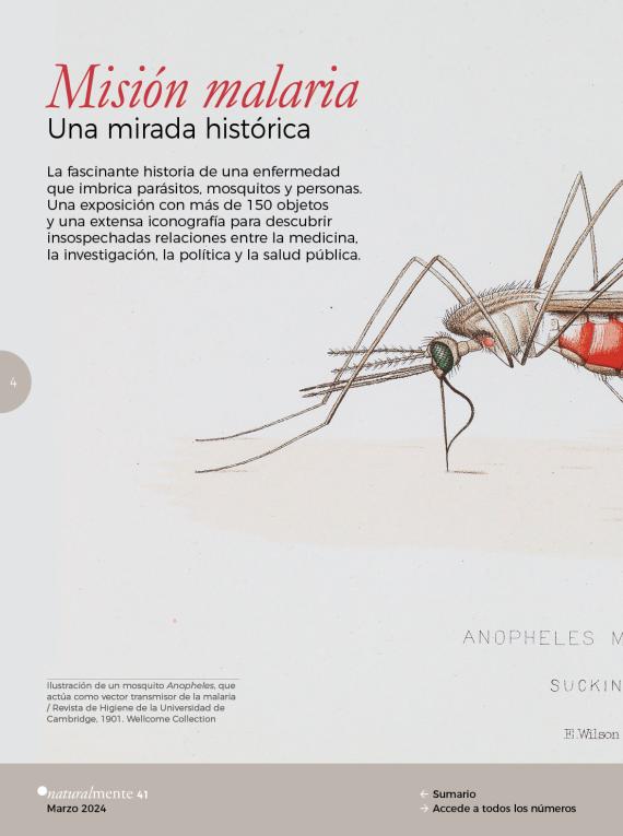 Portada del artículo
