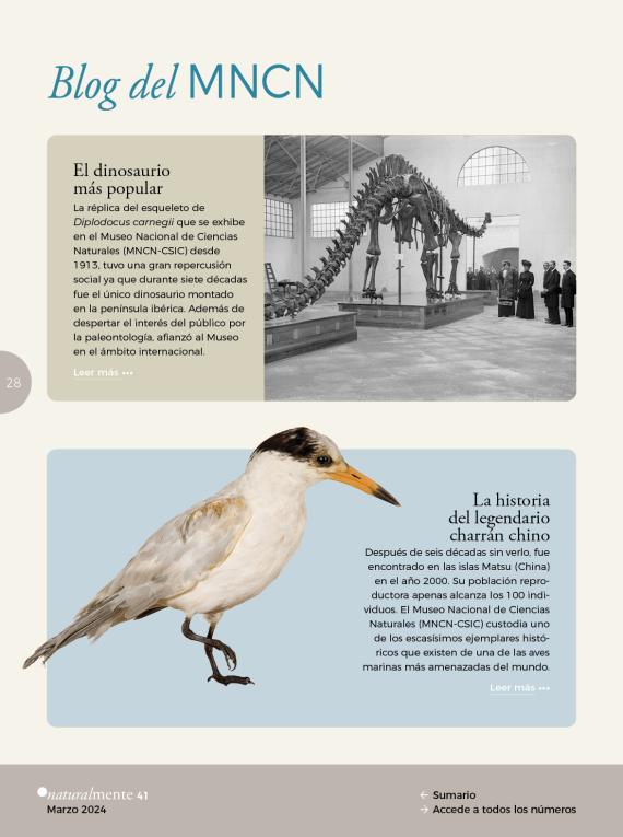 Portada del artículo