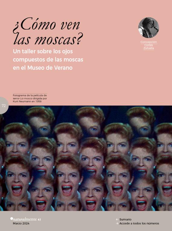 ¿cómo ven las moscas?