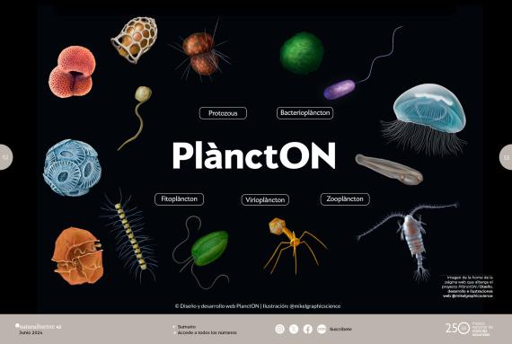 Plancton Motor de vida del planeta océano