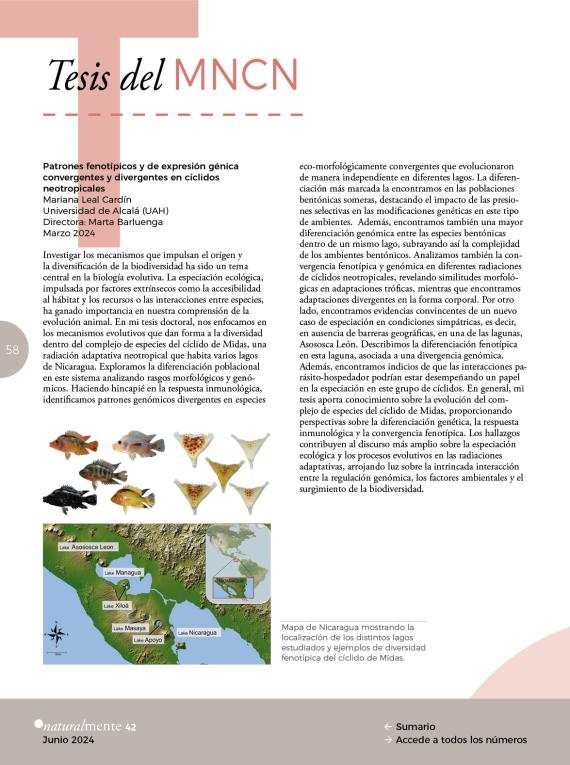 Tesis del MNCN NM42