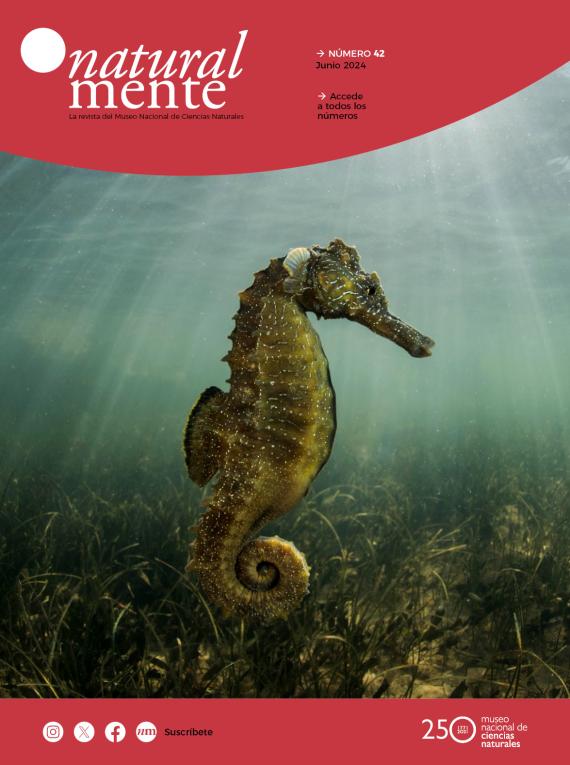 Portada NaturalMente 42 /Javier Murcia 