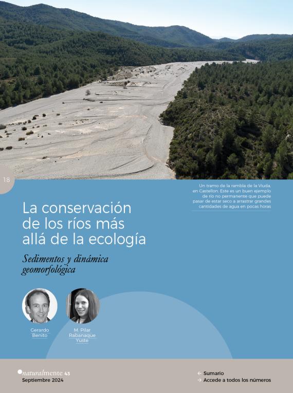 La conservación de los ríos más allá de la ecología: Sedimentos y dinámica geomorfológica
