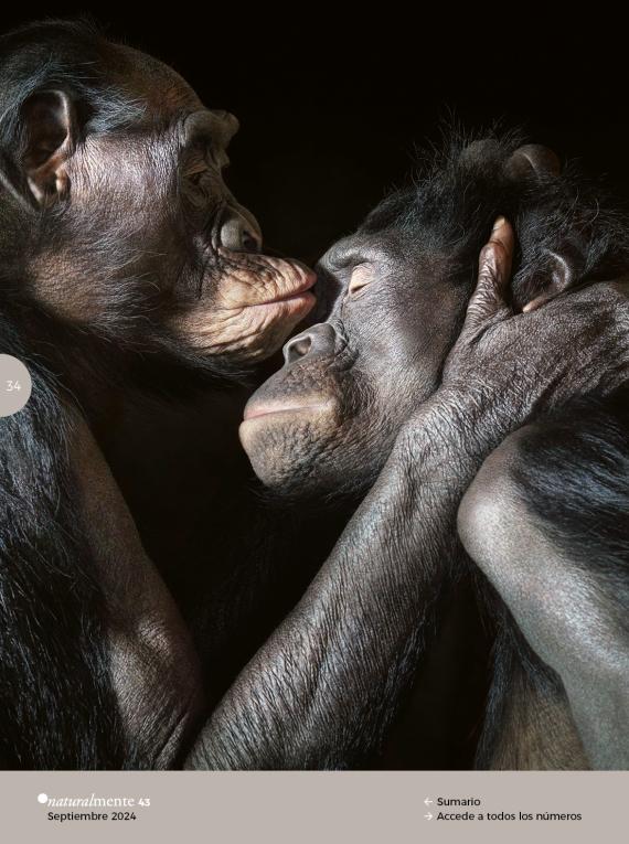 Emociones en peligro. Fotografías de Tim Flach