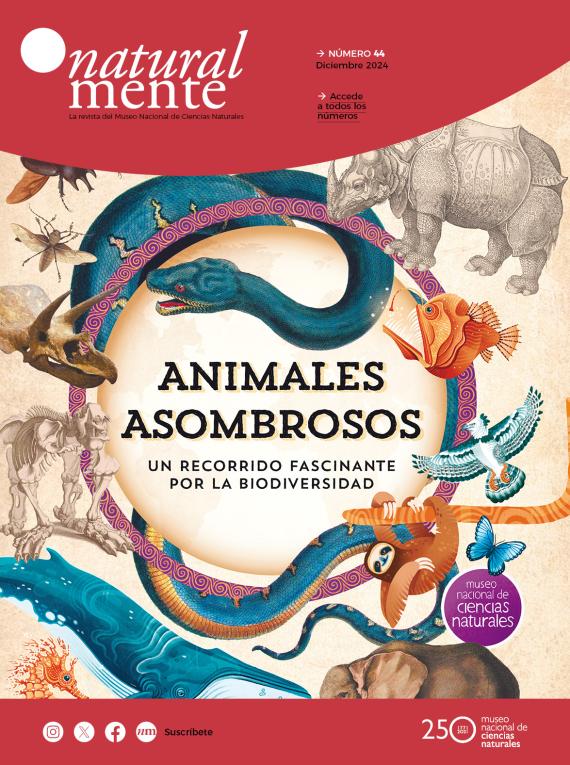 Portada de la revista digital del museo número 44