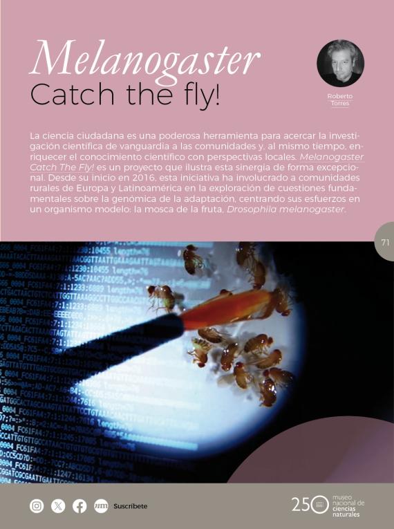 Melanogaster Catch the fly!