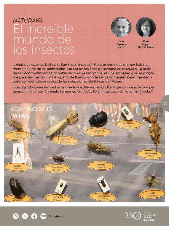 Naturaka. El increíble mundo de los insectos