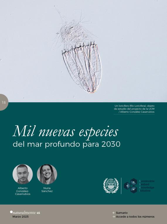 Mil nuevas especies del mar profundo para 2030