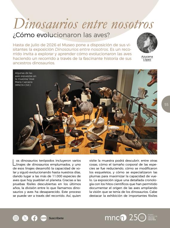 Dinosaurios entre nosotros. ¿Cómo evolucionaron las aves?