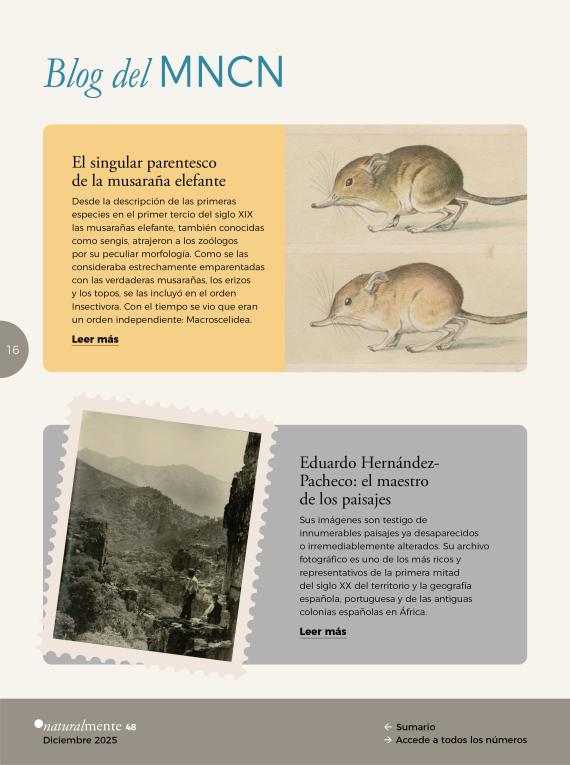 Blog del MNCN