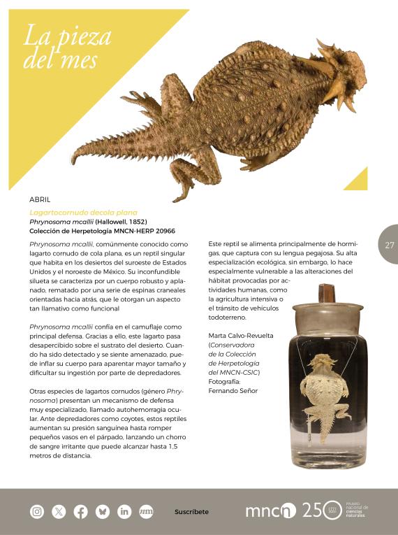 La pieza del mes de NaturalMente 50