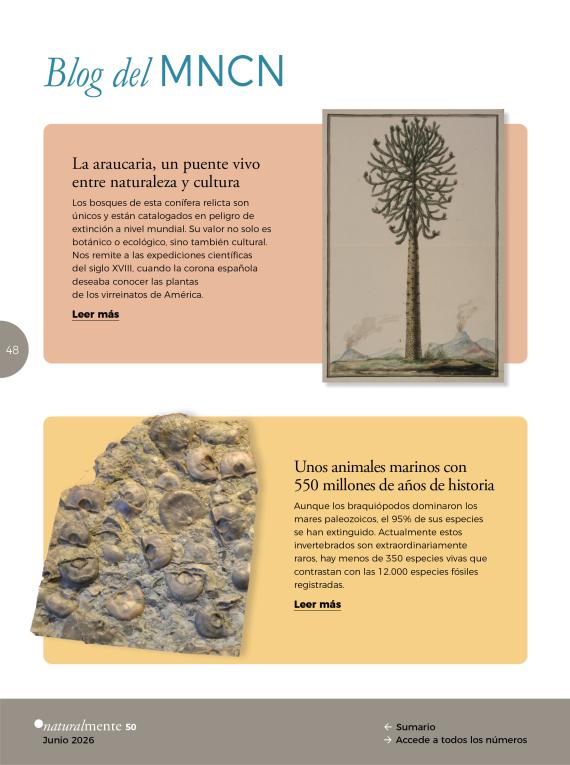 La pieza del mes de NaturalMente 50