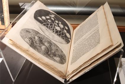 Libro Micrographia de Robert Hooke